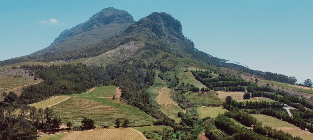 DISCOVER THE VIBRANT SPIRIT OF BANHOEK CHILLI OIL
